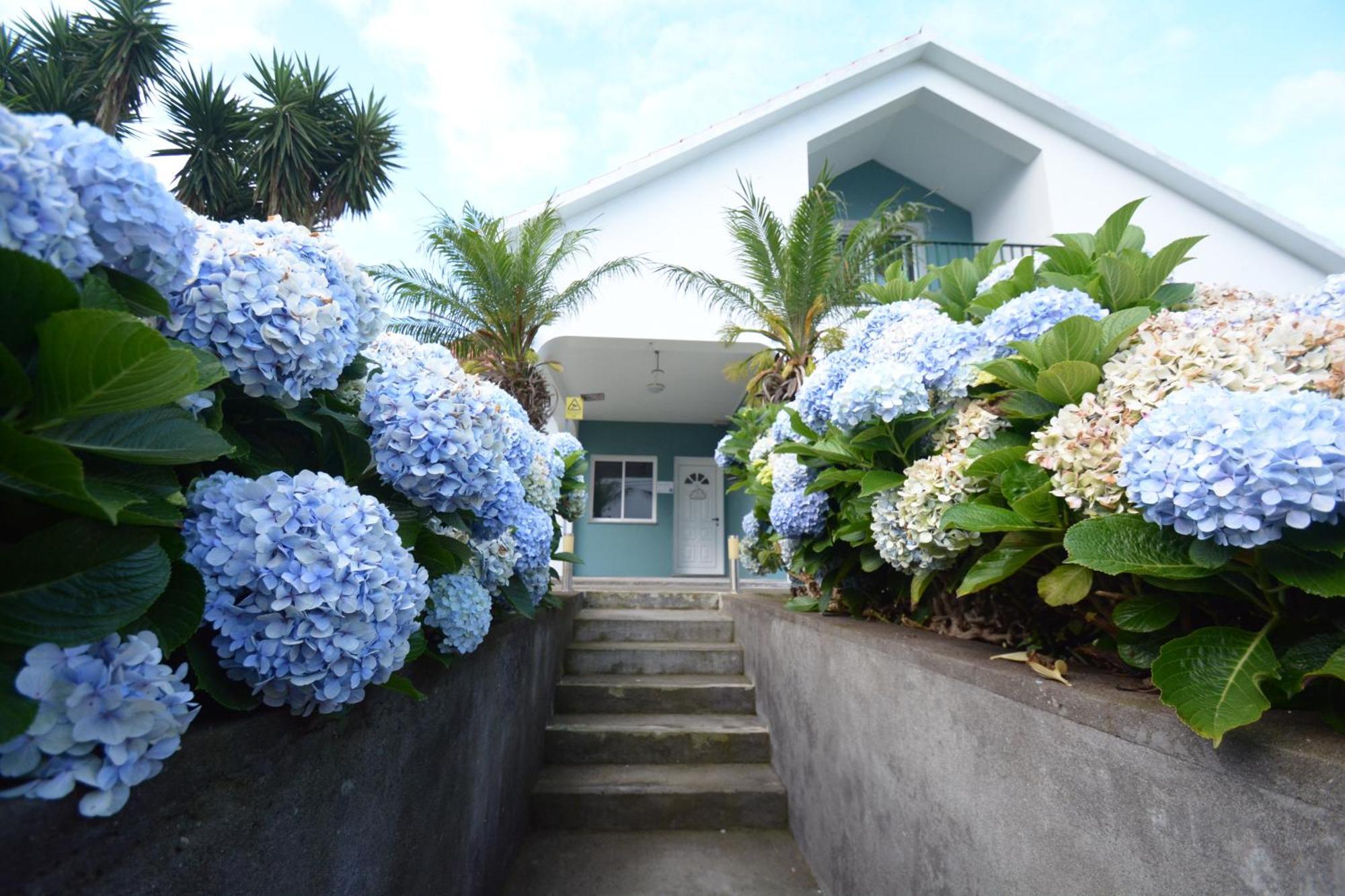 Casinha das Hortênsias Horta (Azores) Exterior foto