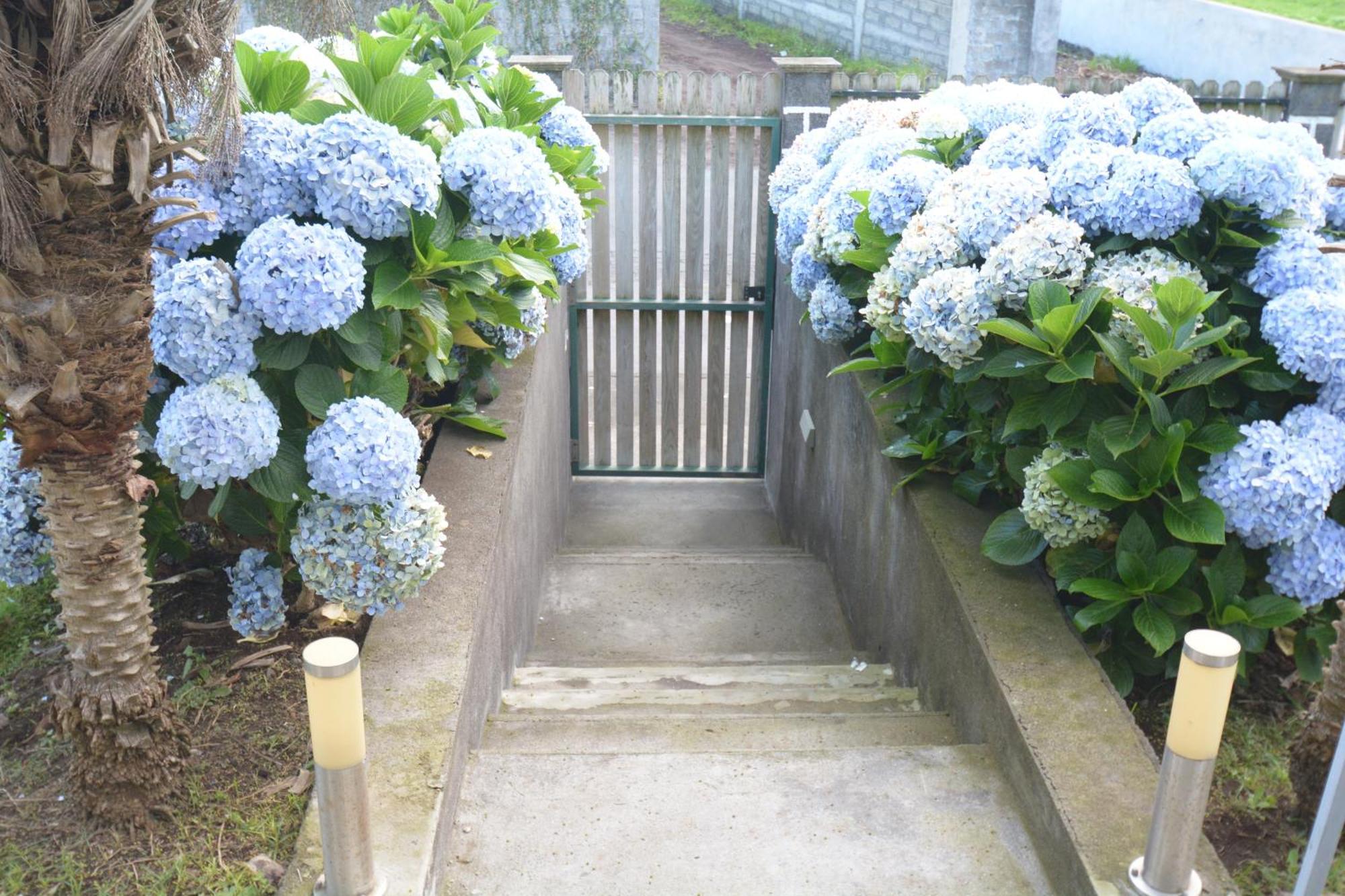 Casinha das Hortênsias Horta (Azores) Exterior foto